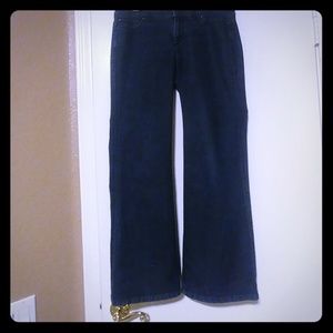Ann Taylor Modern Fit Jeans, EUC